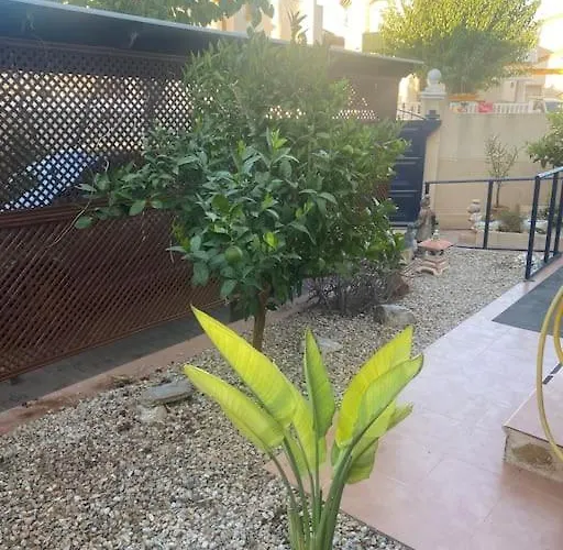 Detached With Private Pool *