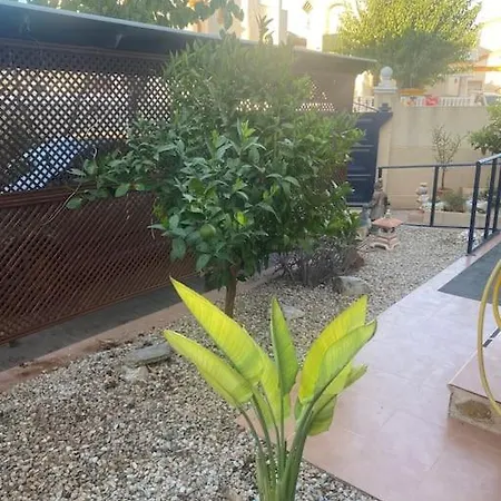 Detached With Private Pool *